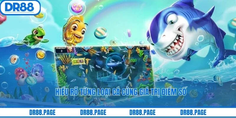 Hiểu rõ từng loại cá cùng giá trị điểm số
