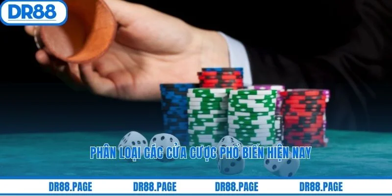 Phân loại các cửa cược phổ biến hiện nay